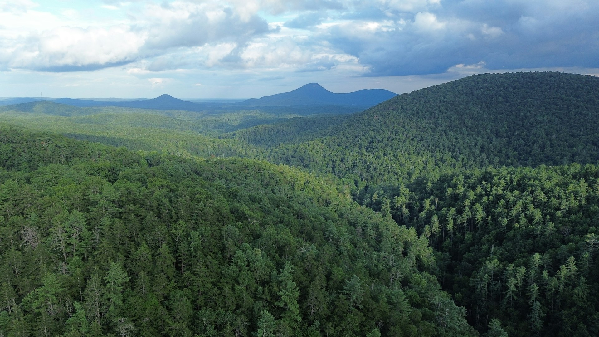 Dense green forest covering rolling Appalachian hills